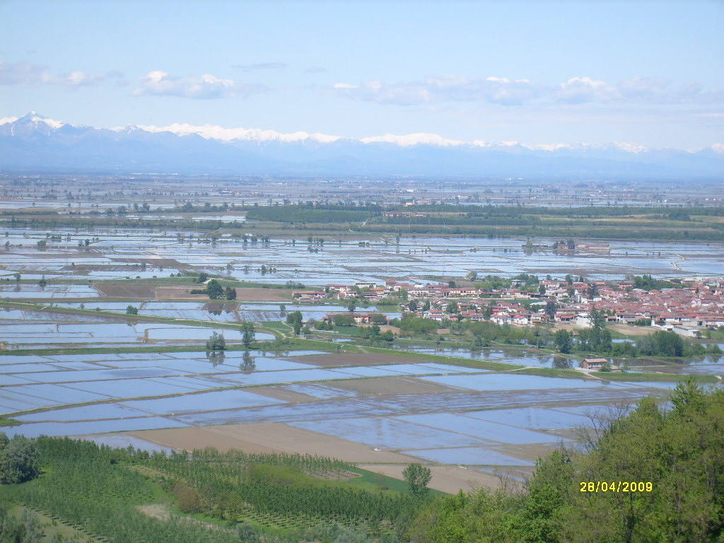 il mare a quadretti